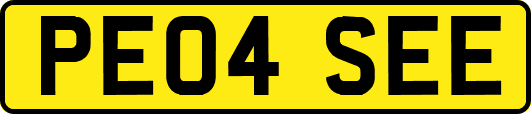 PE04SEE
