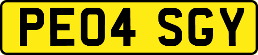 PE04SGY