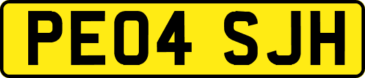 PE04SJH