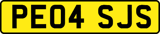 PE04SJS