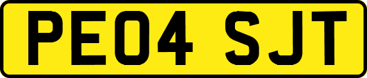 PE04SJT