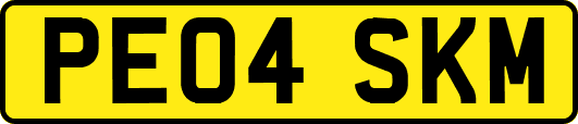 PE04SKM