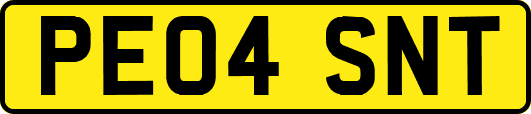 PE04SNT