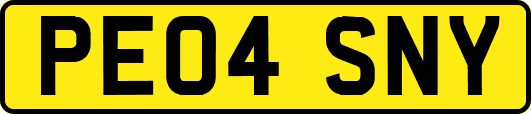 PE04SNY