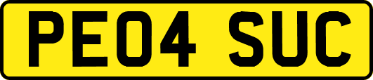 PE04SUC