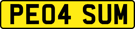 PE04SUM