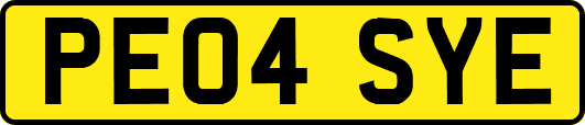 PE04SYE