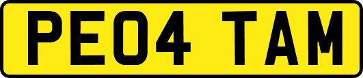 PE04TAM