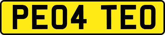 PE04TEO