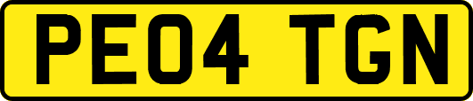 PE04TGN