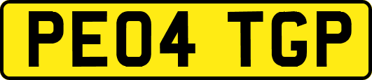 PE04TGP