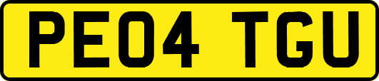 PE04TGU
