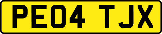 PE04TJX