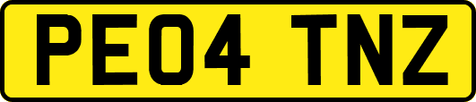 PE04TNZ