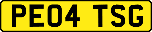 PE04TSG