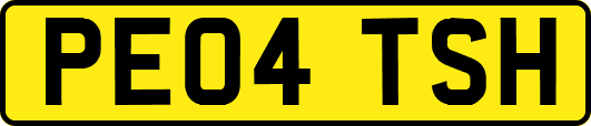 PE04TSH