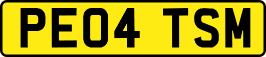 PE04TSM