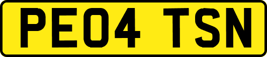 PE04TSN