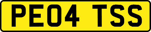 PE04TSS