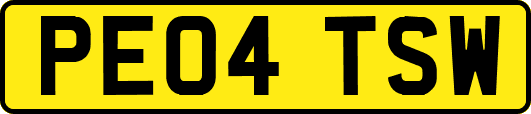 PE04TSW