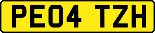 PE04TZH