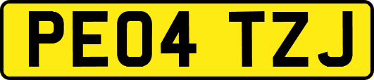PE04TZJ