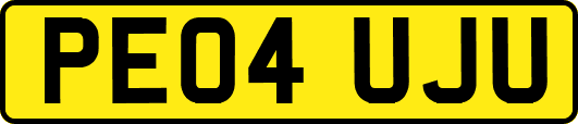 PE04UJU