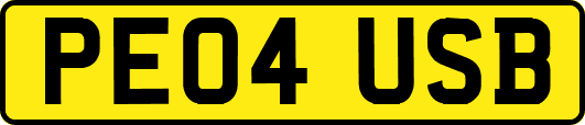 PE04USB