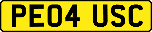 PE04USC