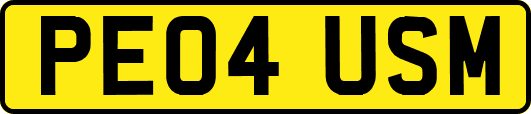 PE04USM