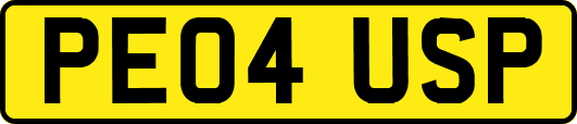 PE04USP