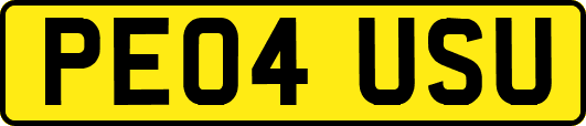 PE04USU