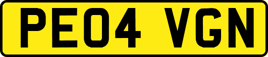PE04VGN