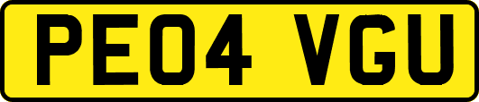 PE04VGU