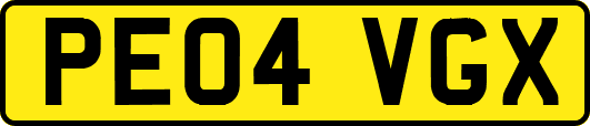 PE04VGX