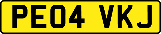 PE04VKJ