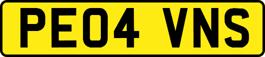 PE04VNS
