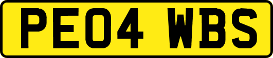 PE04WBS