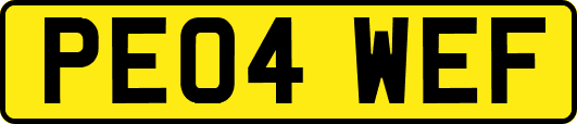 PE04WEF