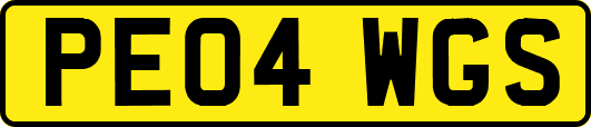 PE04WGS