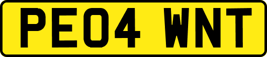 PE04WNT