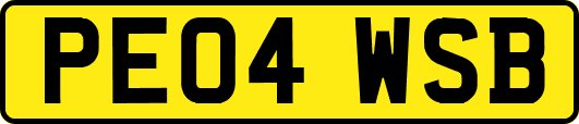 PE04WSB