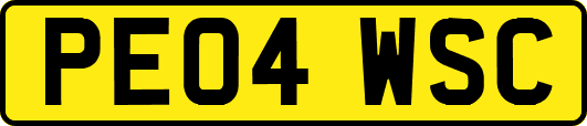 PE04WSC