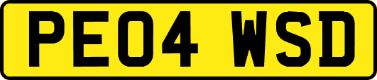 PE04WSD