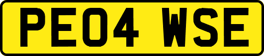PE04WSE