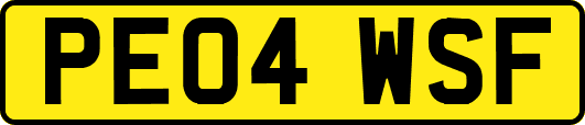 PE04WSF