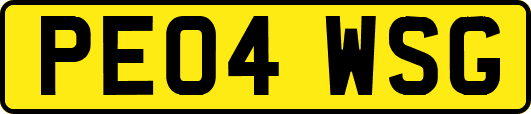 PE04WSG
