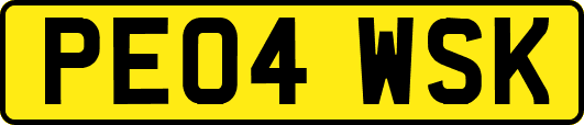 PE04WSK