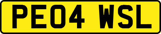 PE04WSL