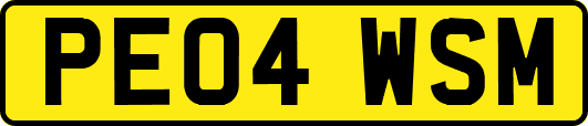 PE04WSM
